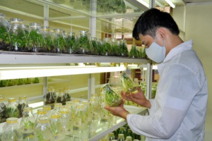 Tìm hiểu ngành Khoa học cây trồng là gì? học gì? ra trường làm gì?